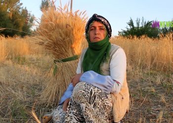 Turkey: Farmers in Van struggle to survive due to the drought and economic crisis