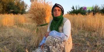 Turkey: Farmers in Van struggle to survive due to the drought and economic crisis