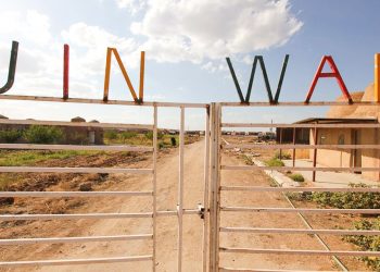 Fruits of the women’s revolution: A feminist utopia realised through the ‘Jinwar’ project
