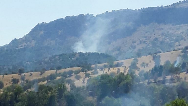 450,000 tons of trees cut down within a year in the Cudi mountains, says Kurdish environmental activist Vahap Işıklı