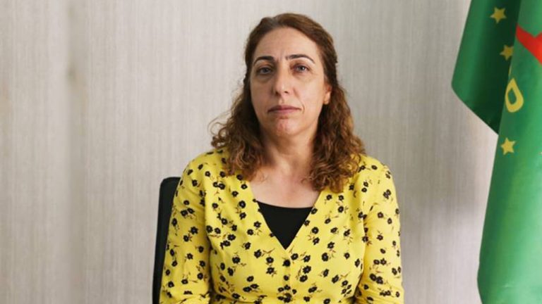 Saliha Aydeniz reflects of the isolation of Abdullah Öcalan: ‘All that is happening is related to isolation’