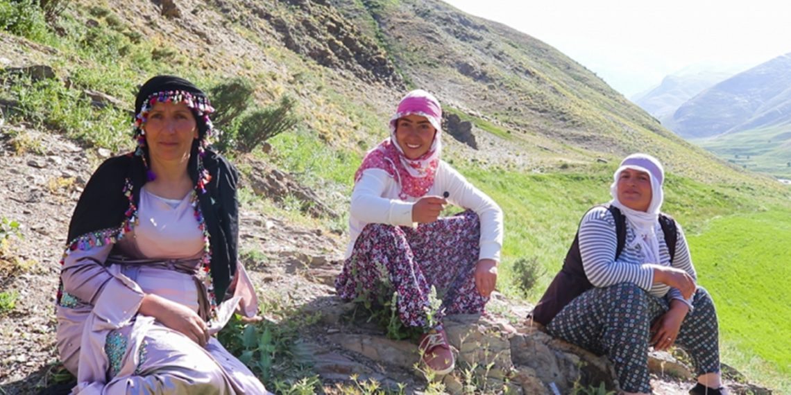 Three women Dengbejs sing traditional Kurdish songs on top of a mountain plateau