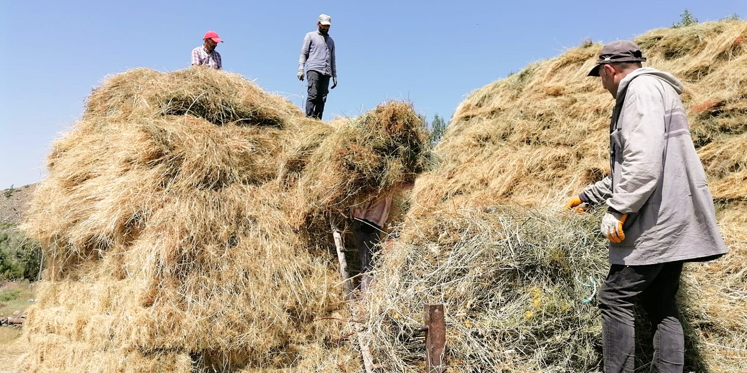 Turkey: Drought and lack of state support hit Kurdish villagers in Muş