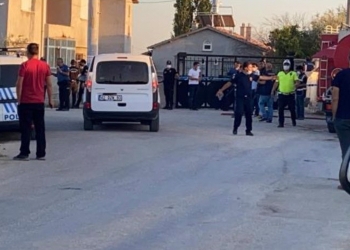 Massacre of Kurdish family in Turkey: reactions from some political parties, silence from others