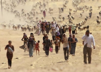 Ömer Salih: ‘Turkey wants to create tension in Sinjar’