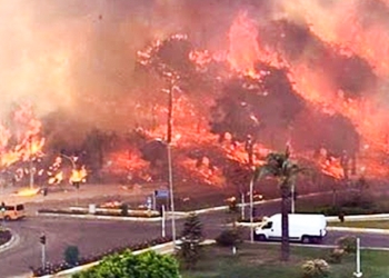 Manavgat: Kurds blamed for starting forest fires, become targets for racists