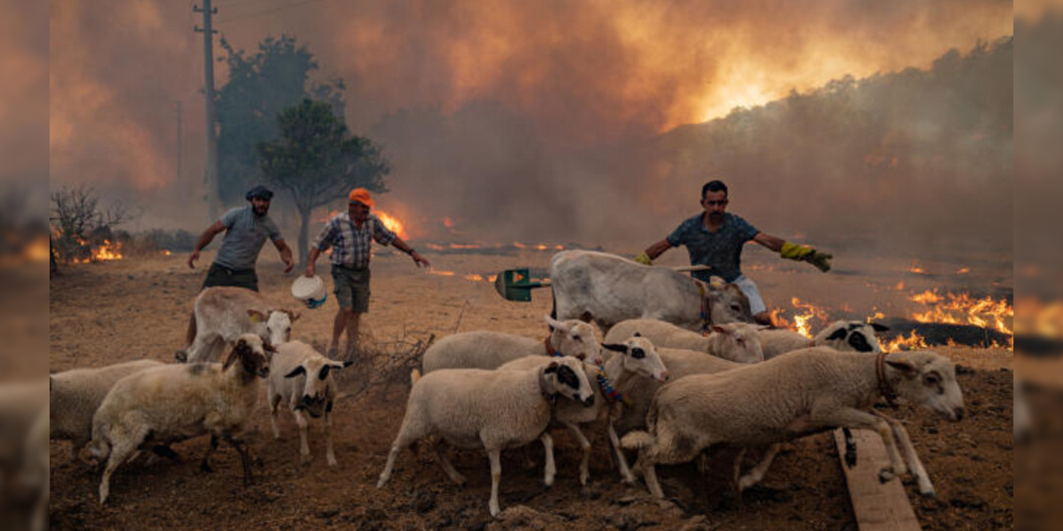 KCK on wildfires in Turkey: ‘We share the sorrow of the peoples of Turkey’