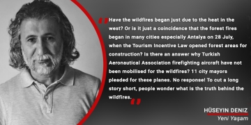 Forests are set alight