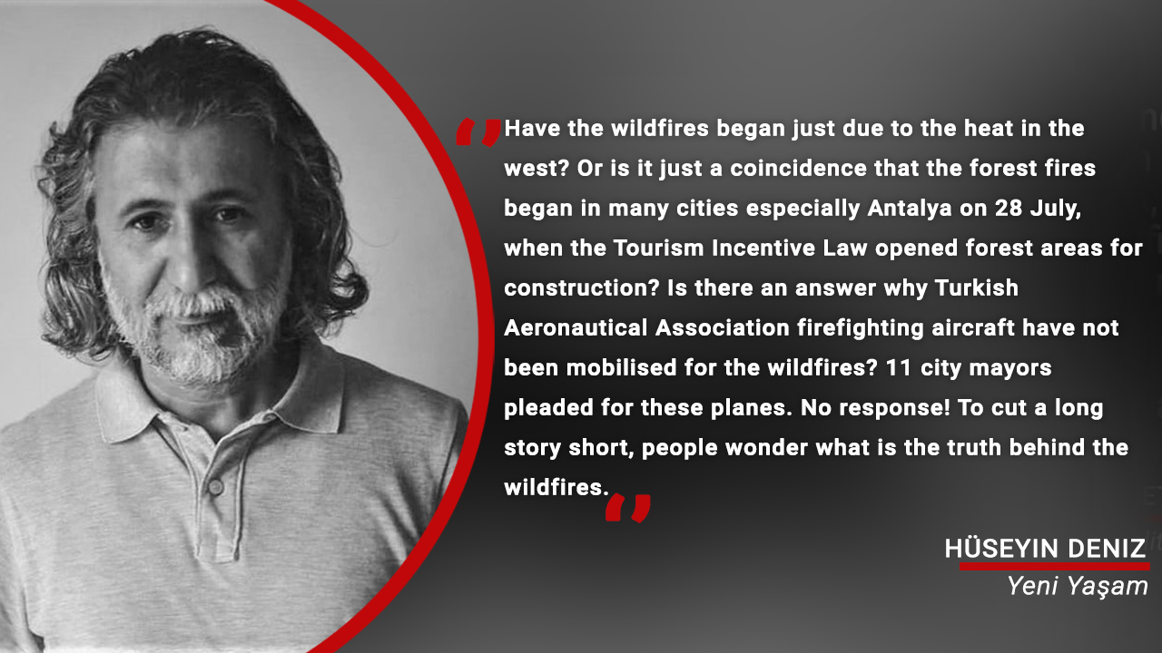 Forests are set alight