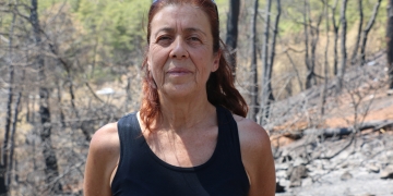 Ecologist warns against ‘restructuring’ of areas razed by wildfires as business sites in Turkey