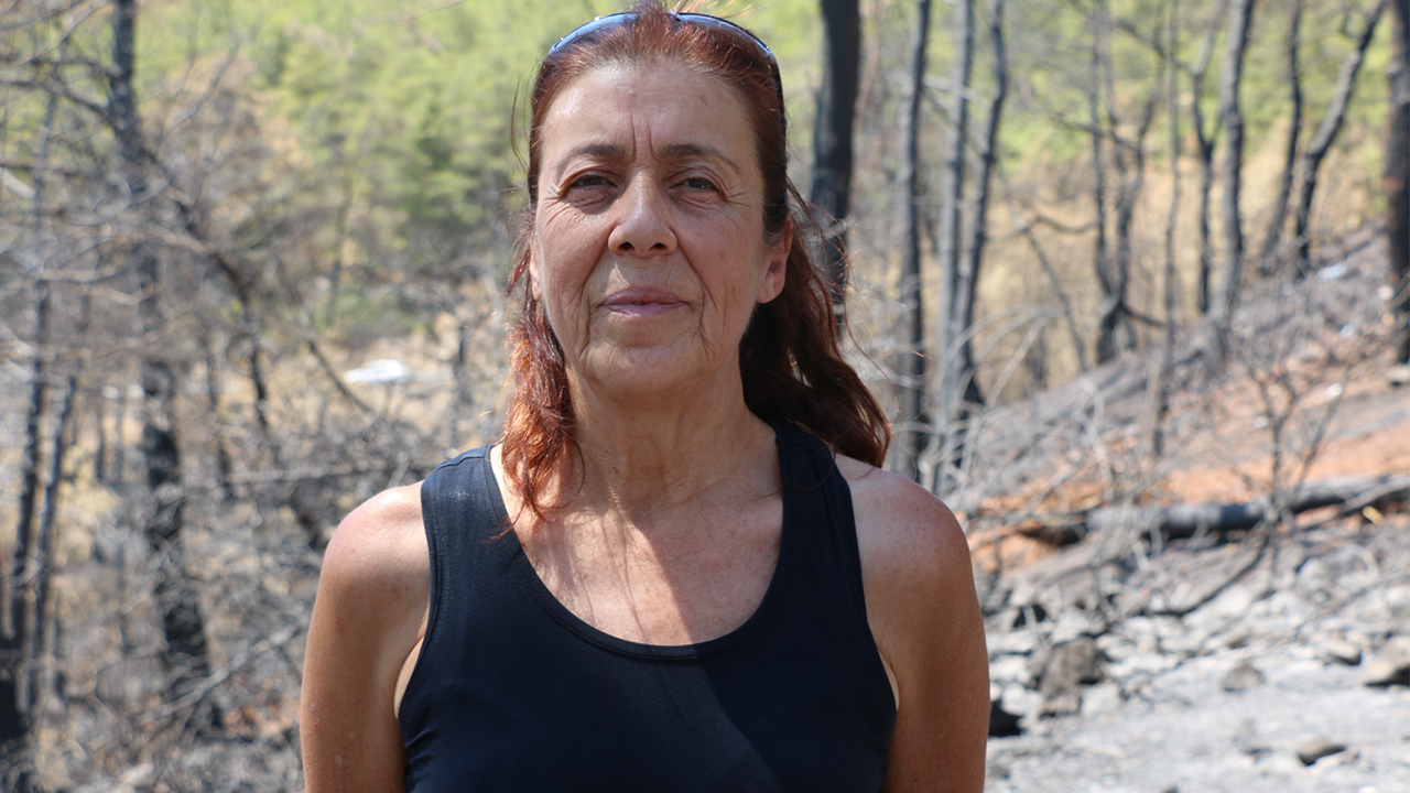 Ecologist warns against ‘restructuring’ of areas razed by wildfires as business sites in Turkey