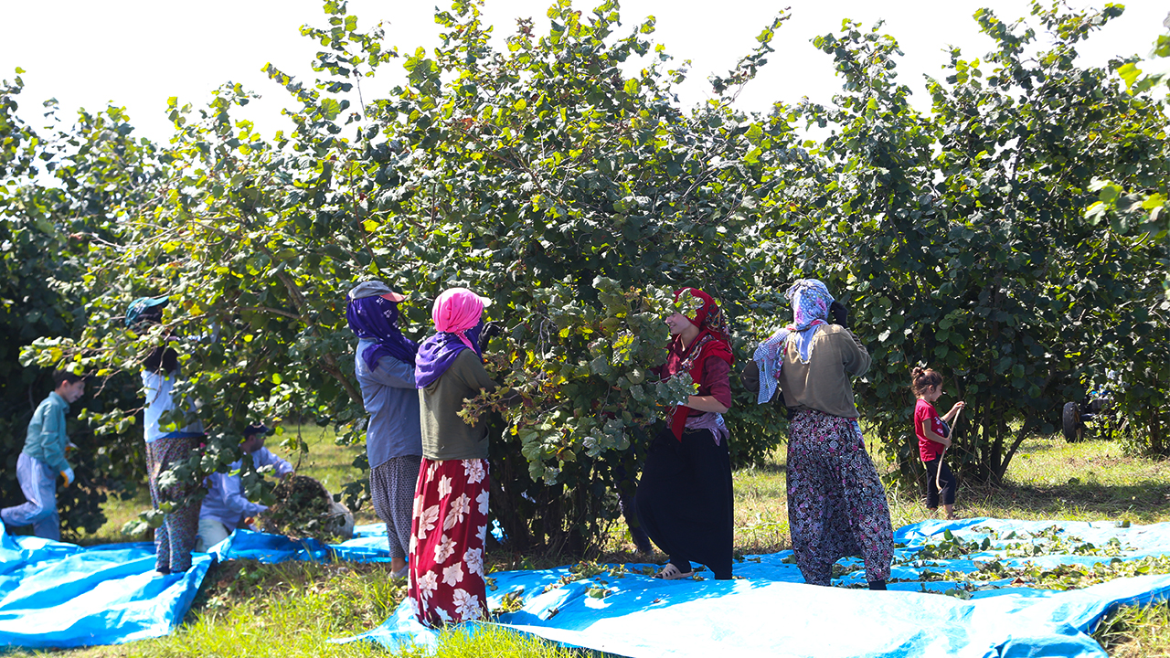 Turkey: Seasonal workers work 11-hour day, without adequate housing, food or health care