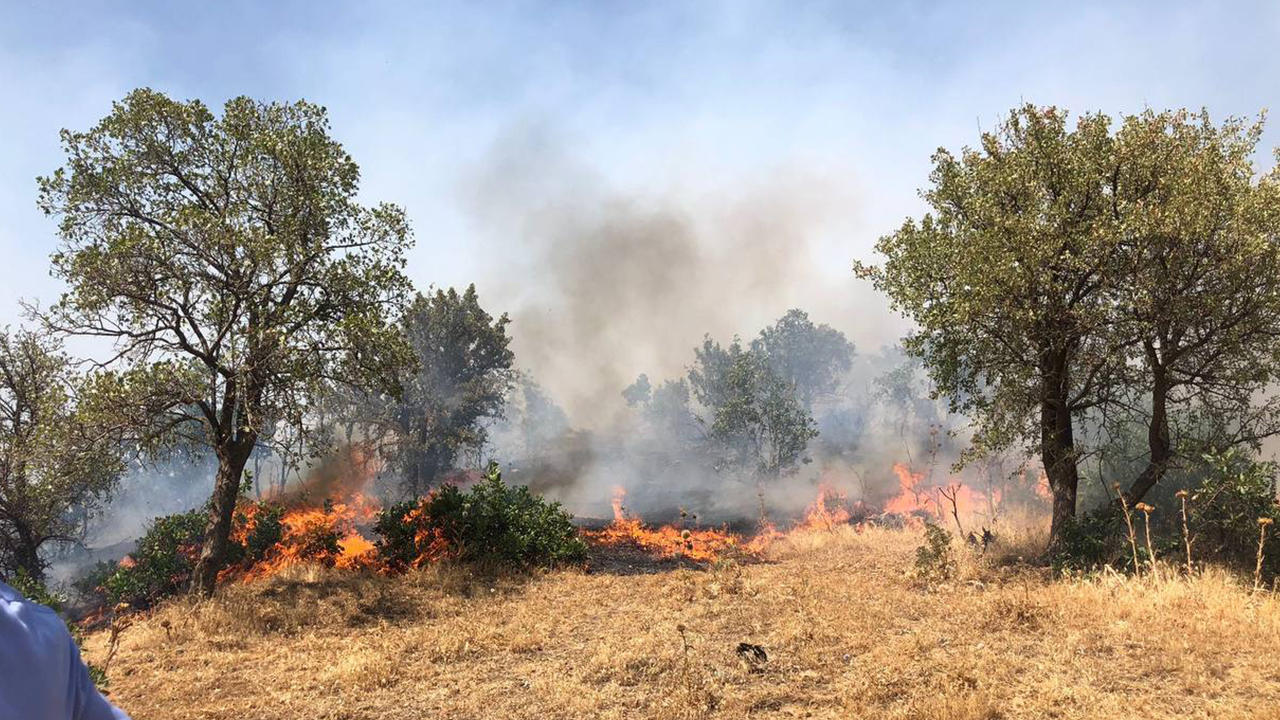 Turkey: Mayor tells people ‘not to make a fuss’ about raging wildfires