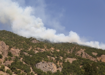 Turkish government leaves Dersim forest fires raging unchecked for 12 whole days without intervention