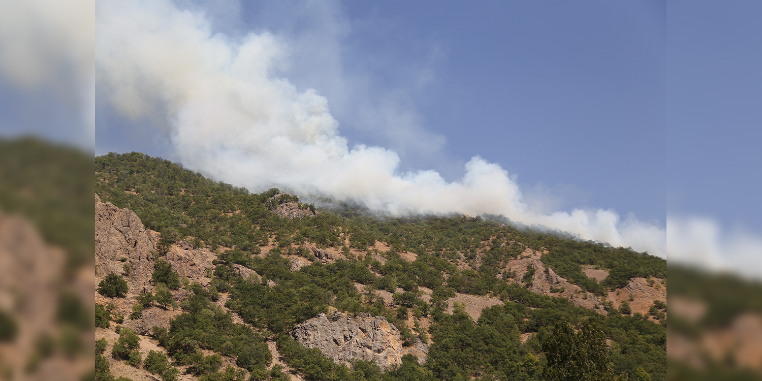 Turkish government leaves Dersim forest fires raging unchecked for 12 whole days without intervention
