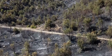 Turkey: Locals in Bitlis say authorities are not intervening to extinguish widespread fires