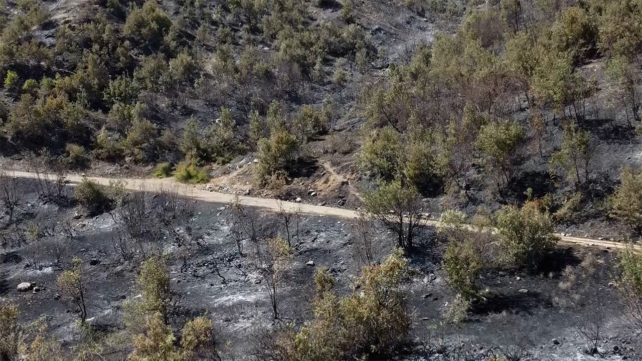 Turkey: Locals in Bitlis say authorities are not intervening to extinguish widespread fires
