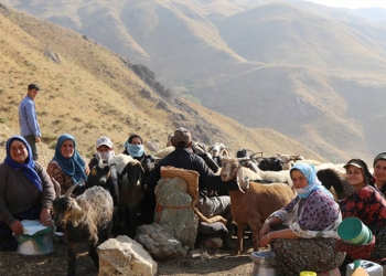 Kurds in eastern Turkey constrained from their daily activities by ‘special security zones’
