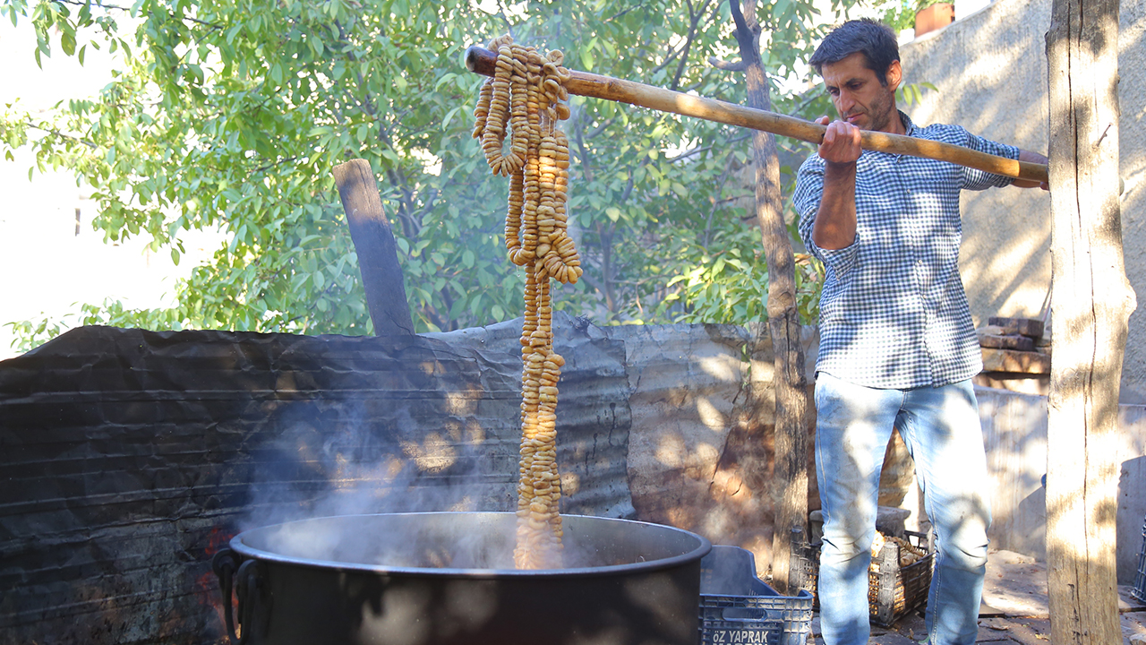 Turkey: Mezrone grape harvesting begins in Mardin