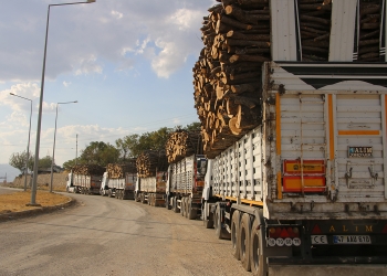 Turkey: Urfa Forestry Department defends extensive deforestation on the grounds that ‘soldiers demanded it’