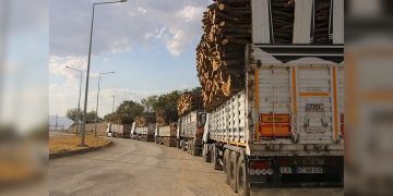 Turkey: Urfa Forestry Department defends extensive deforestation on the grounds that ‘soldiers demanded it’