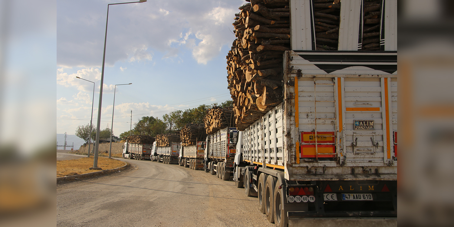 Turkey: Urfa Forestry Department defends extensive deforestation on the grounds that ‘soldiers demanded it’