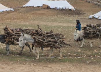 The hard life of Kurdish nomad women in the mountains