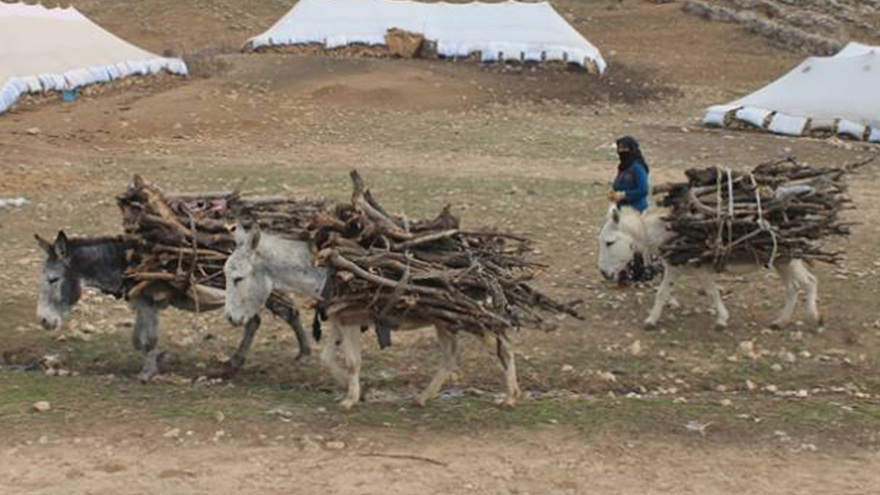 The hard life of Kurdish nomad women in the mountains