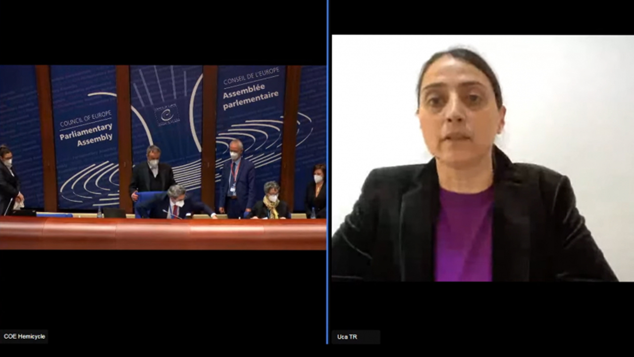 Europe: HDP MP calls for airspace ban in Sinjar against Turkish airstrikes
