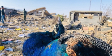 Iraq: Most comprehensive Turkish attack in Sinjar since 2017