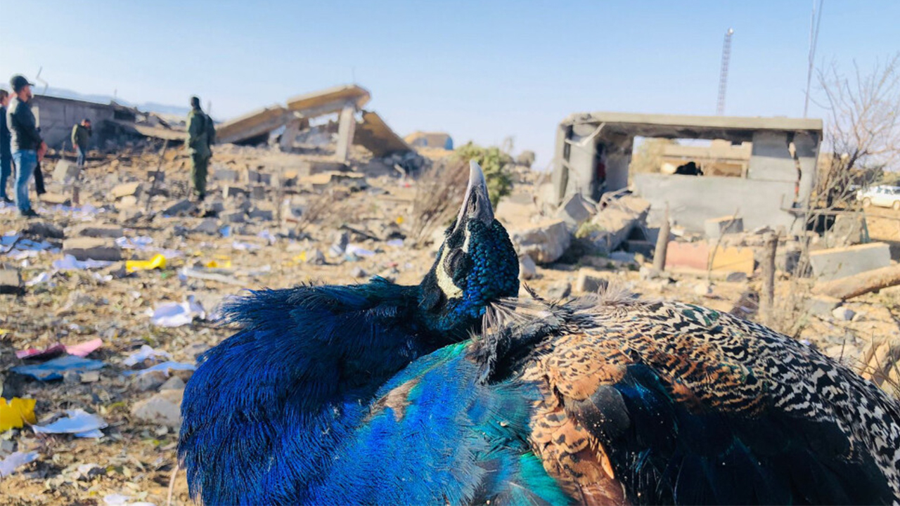 Iraq: Most comprehensive Turkish attack in Sinjar since 2017