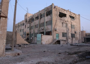 West could have prevented deadly ISIS prison breakout in North East Syria says Australian professor