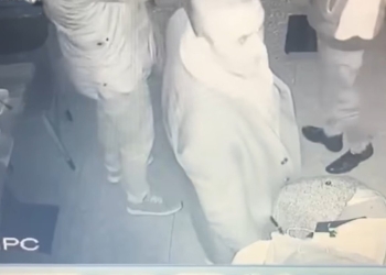 Turkey: Former MHP advisor caught while stealing on video