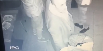 Turkey: Former MHP advisor caught while stealing on video
