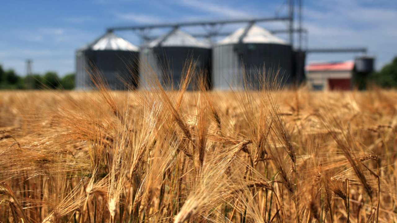 Turkey faces danger of being left without sufficient food supplies due to conflict in Ukraine