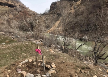 73 saplings were planted for Öcalan, who turned 73