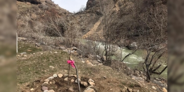 73 saplings were planted for Öcalan, who turned 73