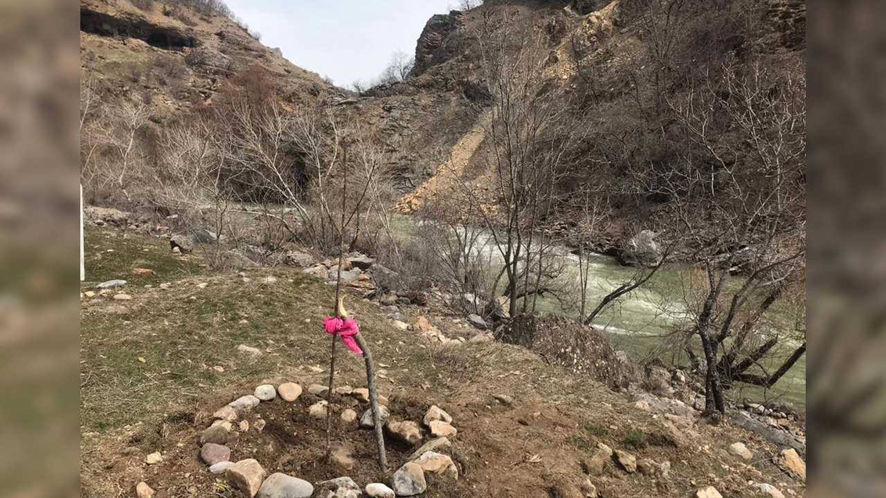 73 saplings were planted for Öcalan, who turned 73