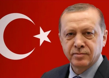 Elke Dangaleit: ‘EU and NATO will accept Turkey’s war crimes as long as it suits their interests’