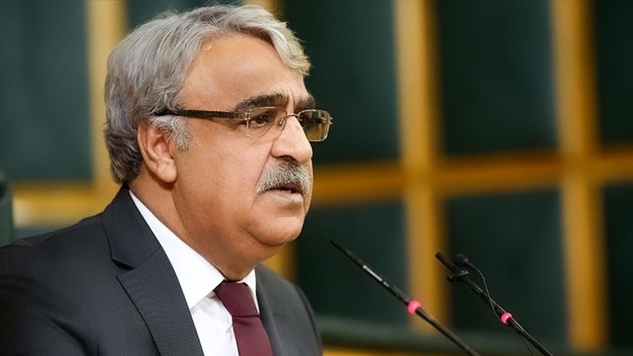‘Ankara is trying to turn Europe into Turkey’: HDP co-chair