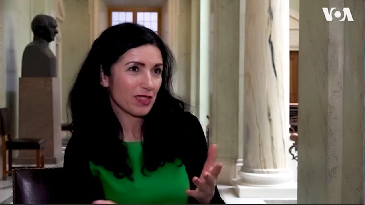 Swedish MP: Erdoğan is against me because I fight for Kurdish rights