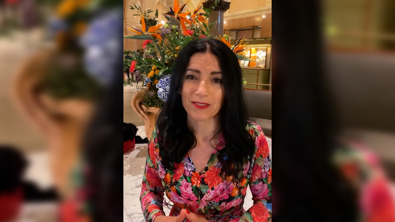 Swedish MP Kakabaveh praises peshmerga past, condemns Erdoğan