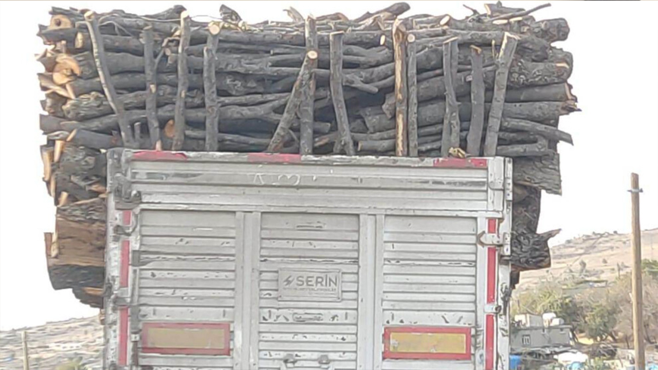 Ancient forests destroyed in Iraqi Kurdistan due to Turkish operations, says Kurdistan Greens