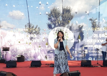 Kurdish peace the solution to Turkey’s woes – HDP co-chair