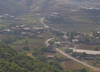 Explosive blast seriously wounds shepherd in Bitlis