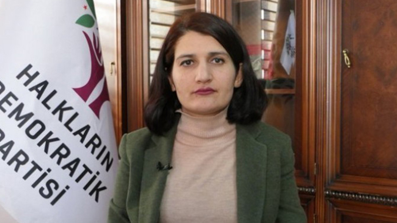 Kurdish opposition MP Semra Güzel defiant after arrest ‘spectacle’