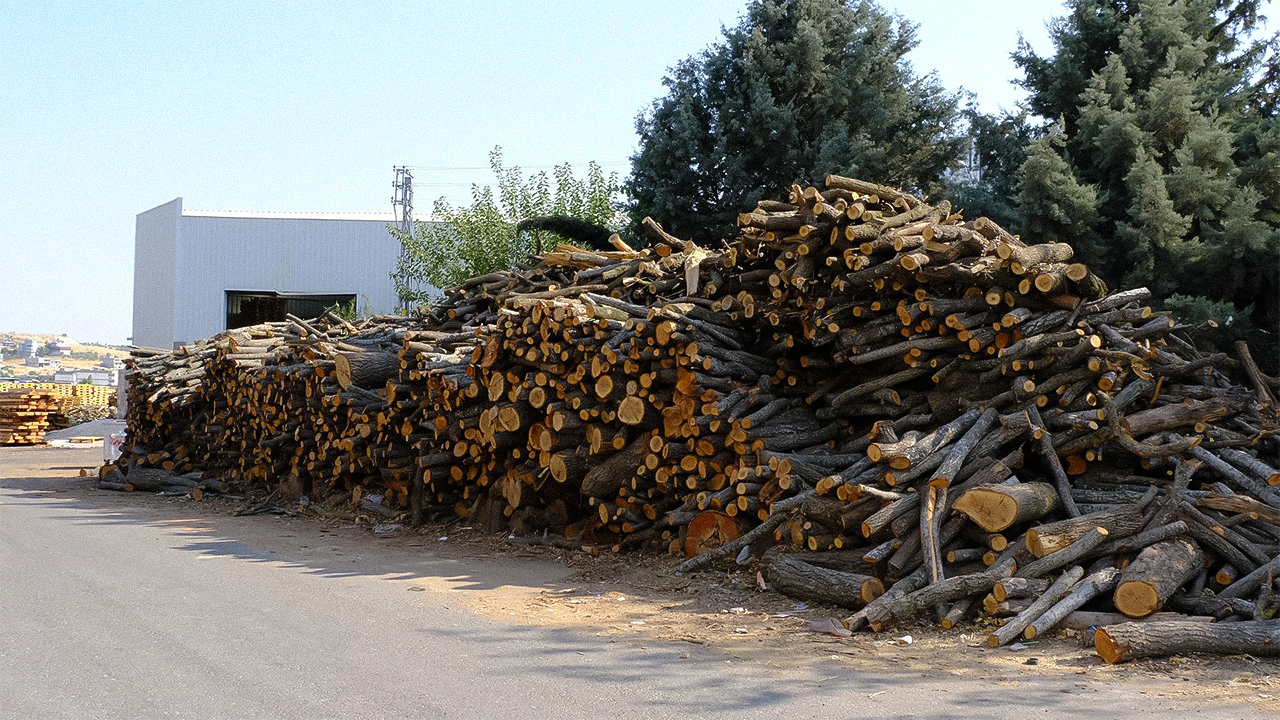 Environmental activists call for protest march against Turkish forest fire policy