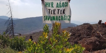 Ecologists in İstanbul call for action against deforestation in Mount Cudi