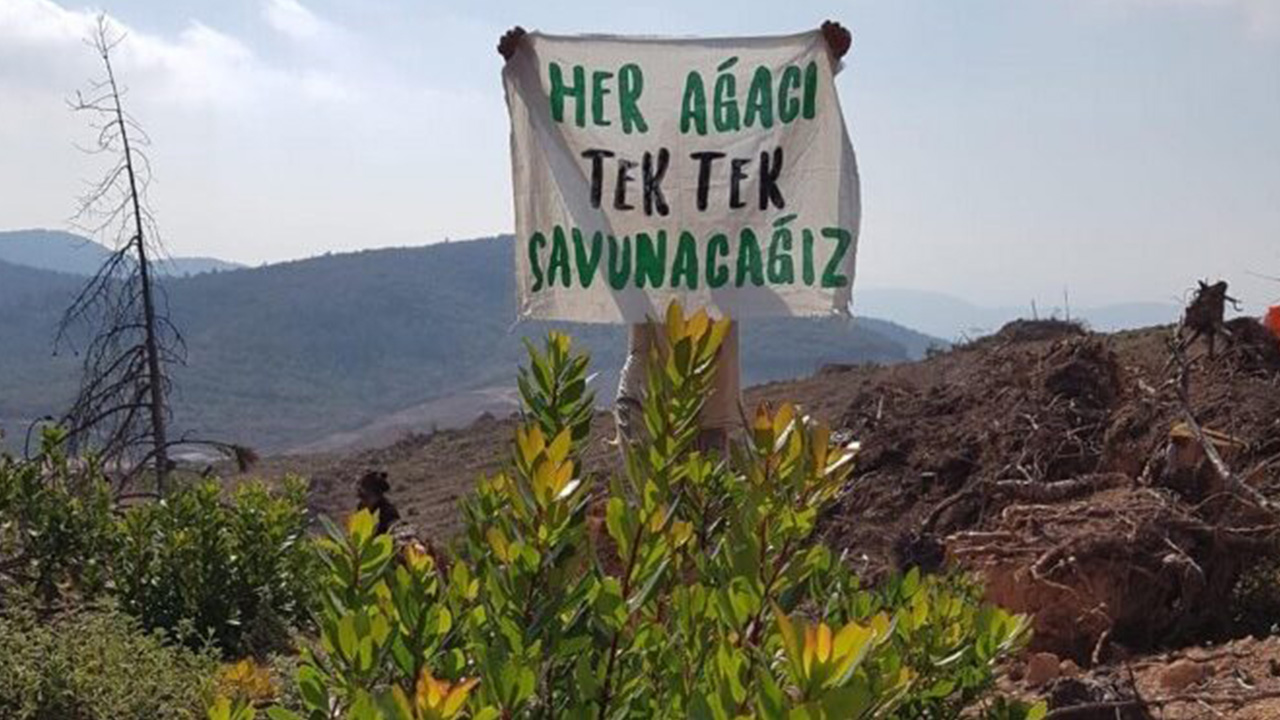 Ecologists in İstanbul call for action against deforestation in Mount Cudi