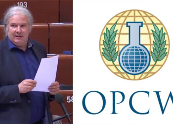 MP criticises Germany for not advocating investigation into Turkey’s alleged chemical use